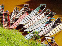 Motorized longboats await to take you upriver amidst overhanging foliage sheds. 