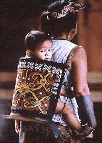 A sight like this is rare but still exist in Sarawak Highlands.