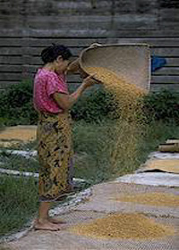 Pa'Rupai on the Indonesian border.